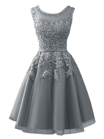 Short Homecoming Dresses Tulle Junior Prom Dress Lace Formal Evening Gowns Appliques